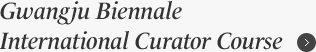international curator course