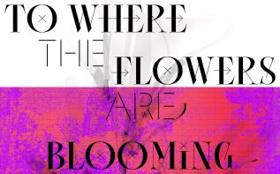 베니스에서 꽃핀 ‘오월 광주정신’ 관련 이미지