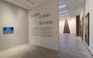 5ㆍ18민주화운동 특별전‘꽃 핀 쪽으로’개막 관련 이미지