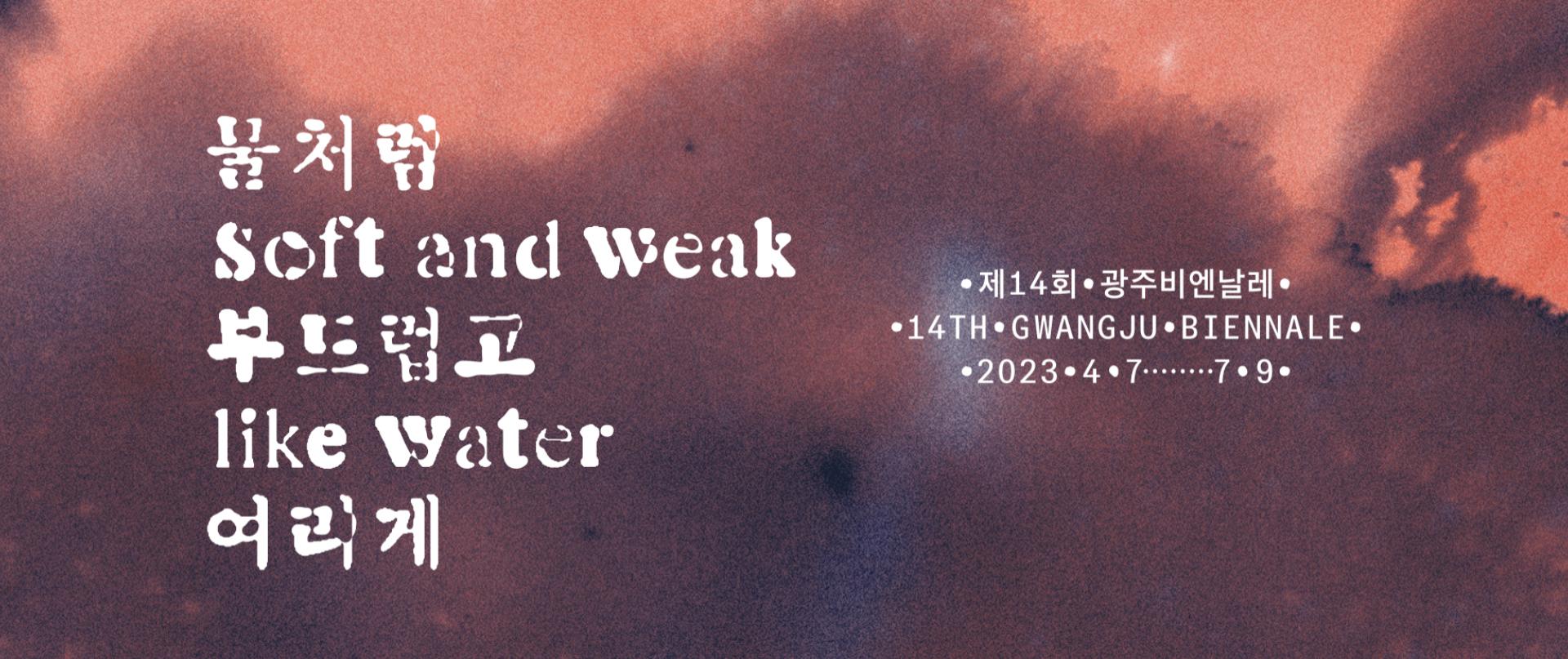 제14회 광주비엔날레 - 물처럼 부드럽고 여리게