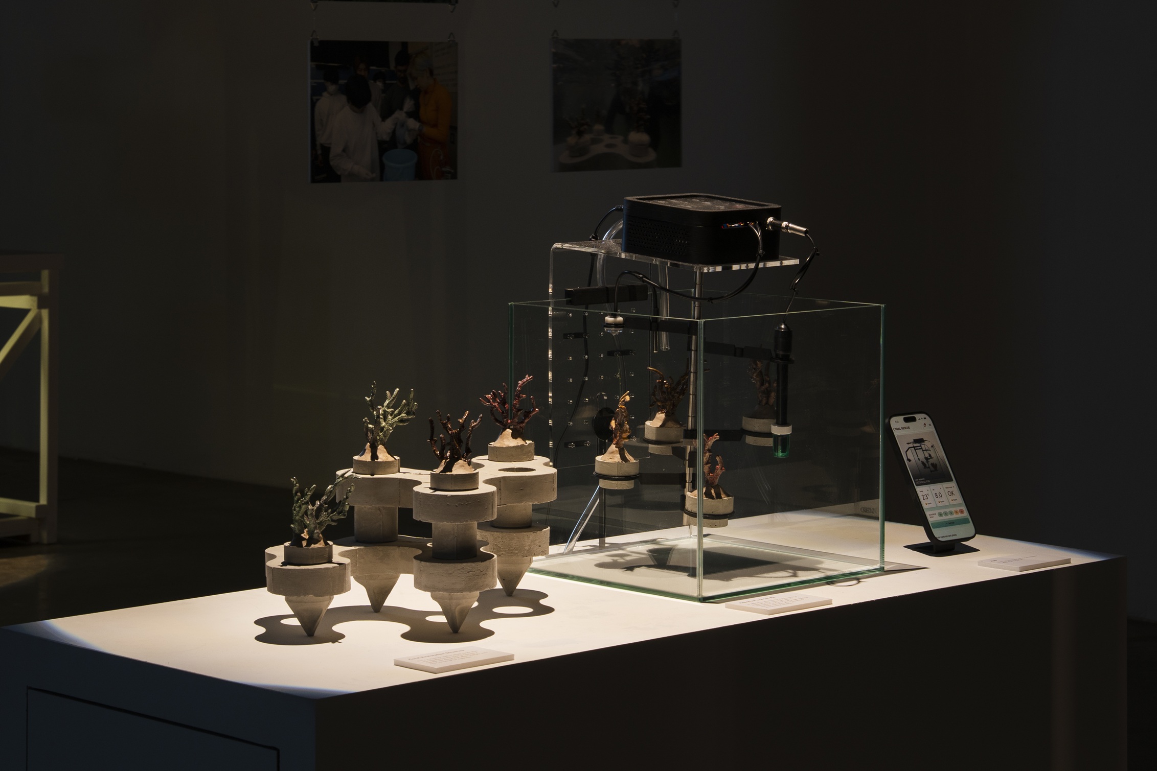 23. DLX 디자인랩 x 수의행동학 연구소(도쿄대학교)_4 (1).jpg