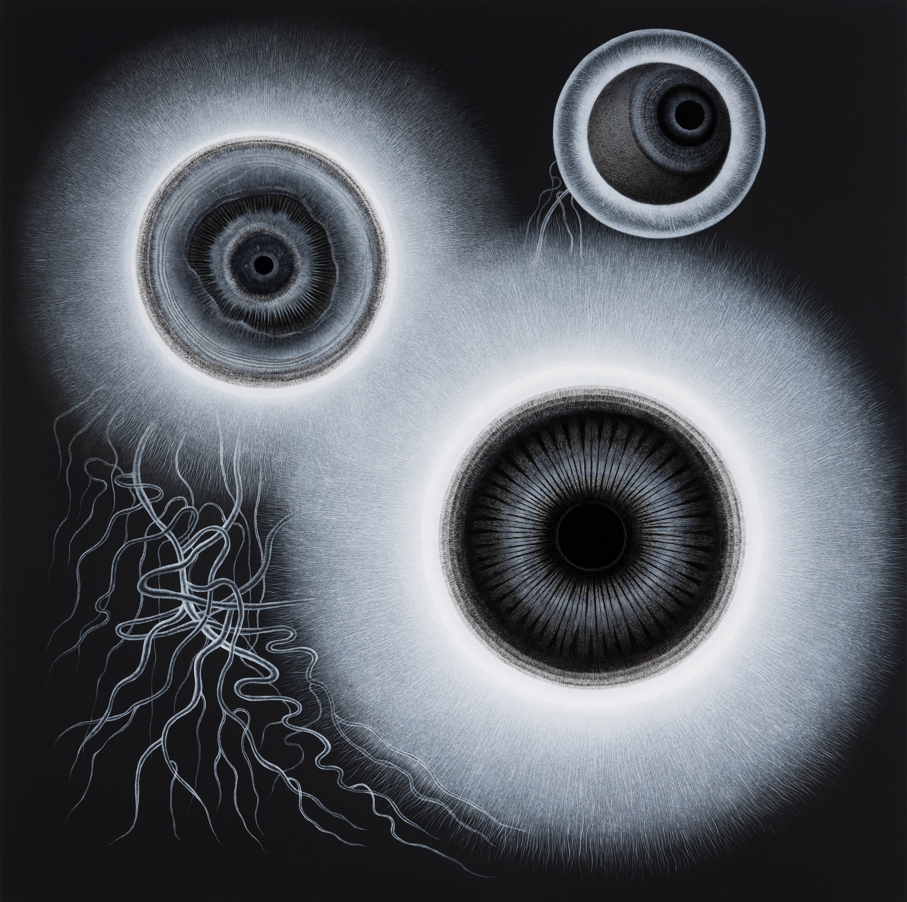 아홉 개의 검은 구멍, 소문(Nine Dark Openings, Rumor), Ink on paper, (h)150cm x (w)150cm, 2020 국립아시아문화전당 커미션 Commissioned by Asia Culture Center.jpg